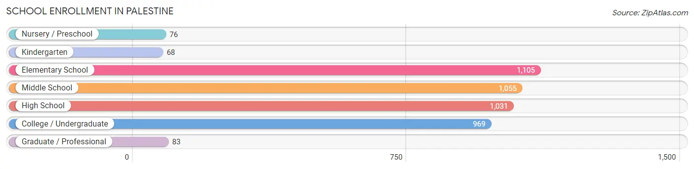 School Enrollment in Palestine