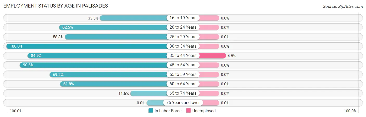 Employment Status by Age in Palisades