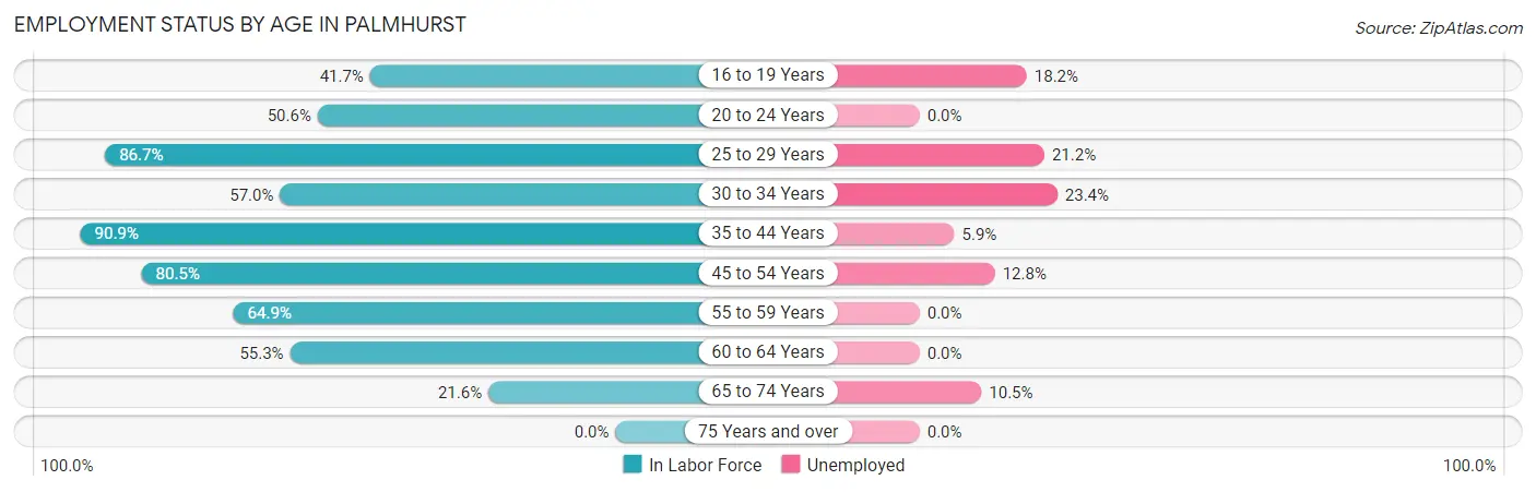 Employment Status by Age in Palmhurst
