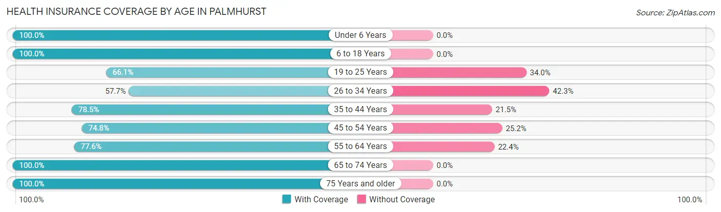 Health Insurance Coverage by Age in Palmhurst