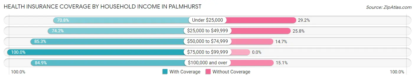 Health Insurance Coverage by Household Income in Palmhurst