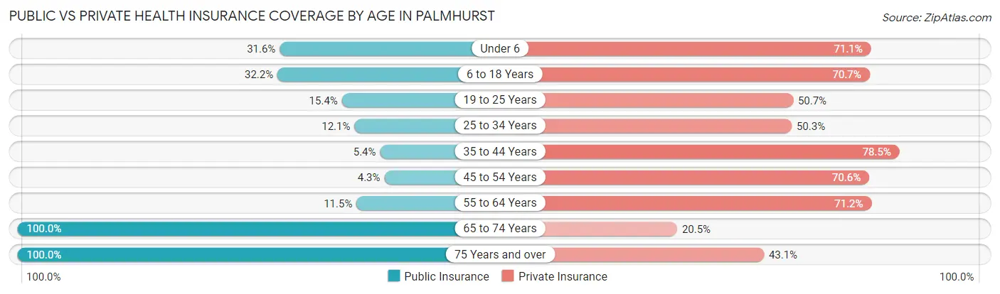 Public vs Private Health Insurance Coverage by Age in Palmhurst