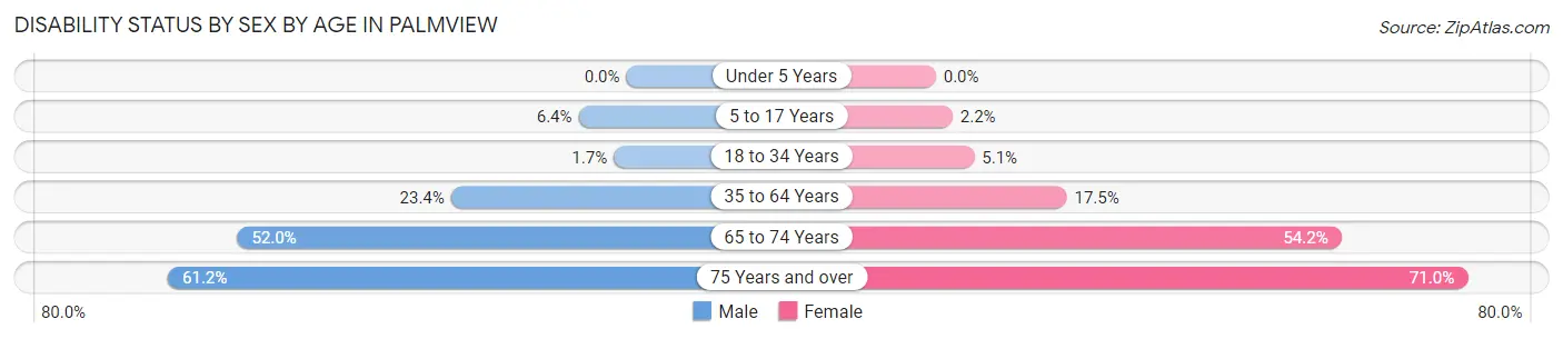 Disability Status by Sex by Age in Palmview