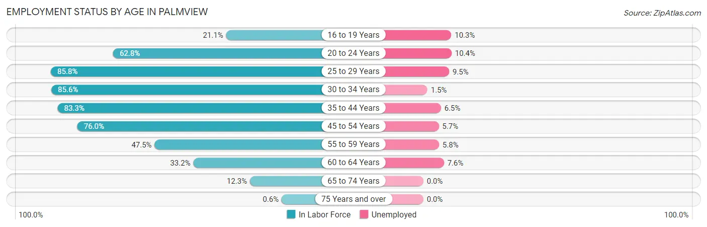 Employment Status by Age in Palmview