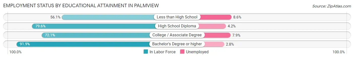 Employment Status by Educational Attainment in Palmview