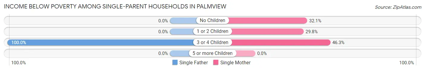 Income Below Poverty Among Single-Parent Households in Palmview