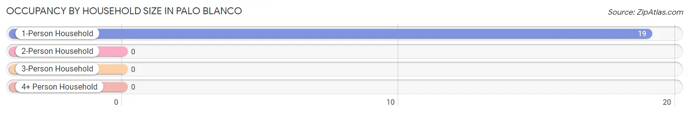 Occupancy by Household Size in Palo Blanco