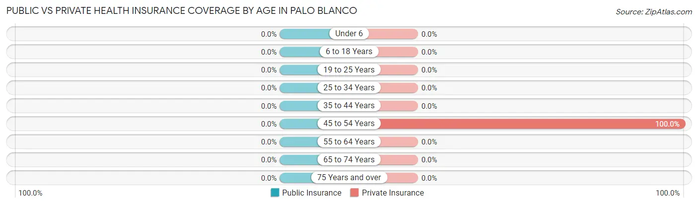 Public vs Private Health Insurance Coverage by Age in Palo Blanco