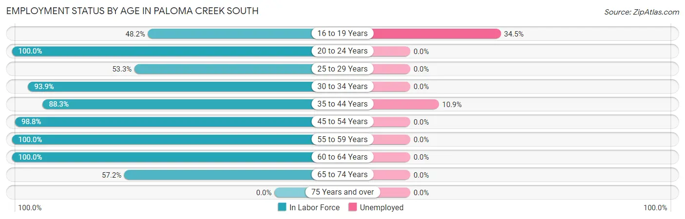 Employment Status by Age in Paloma Creek South
