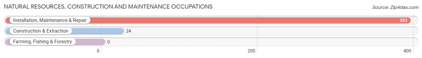 Natural Resources, Construction and Maintenance Occupations in Paloma Creek South