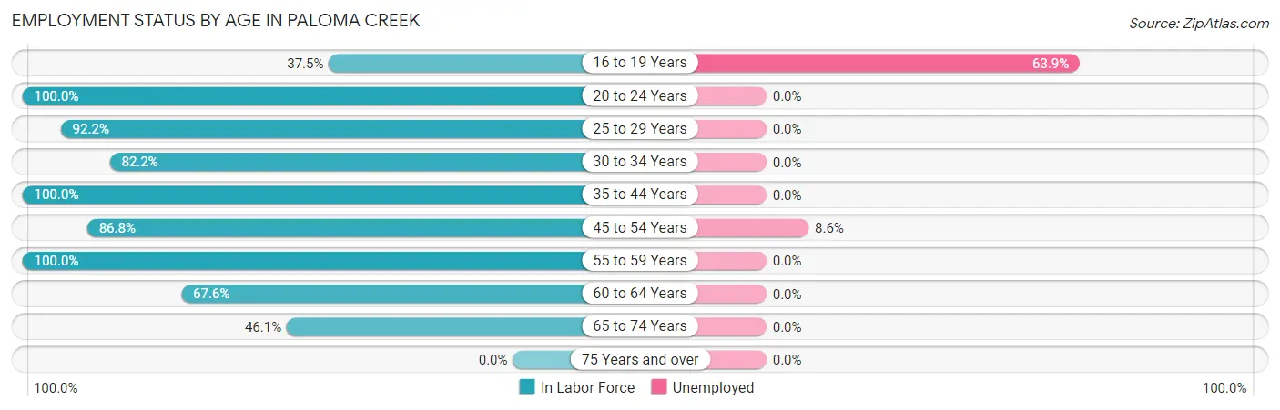 Employment Status by Age in Paloma Creek