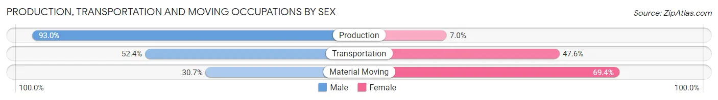 Production, Transportation and Moving Occupations by Sex in Panorama Village