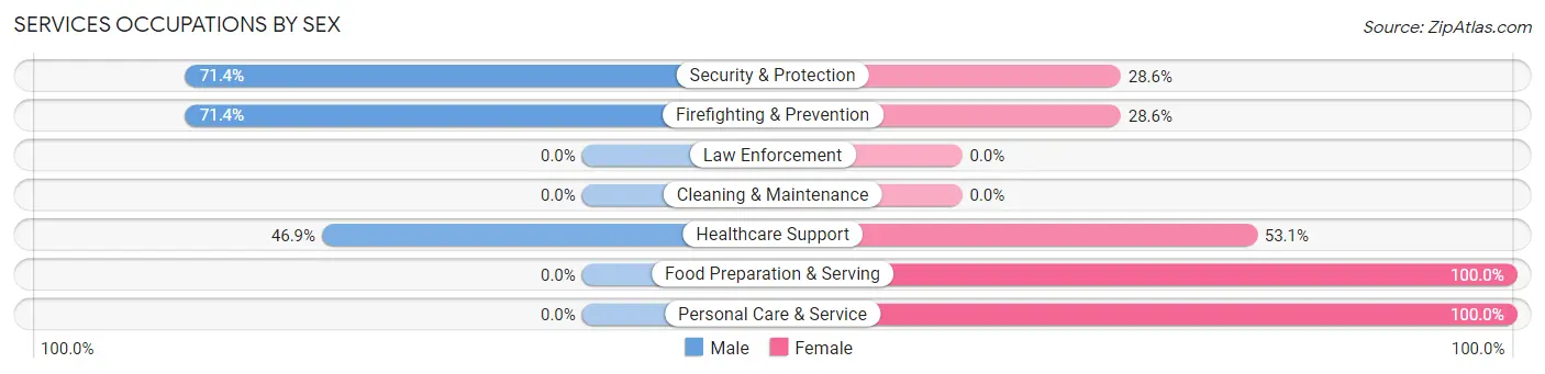 Services Occupations by Sex in Patton Village