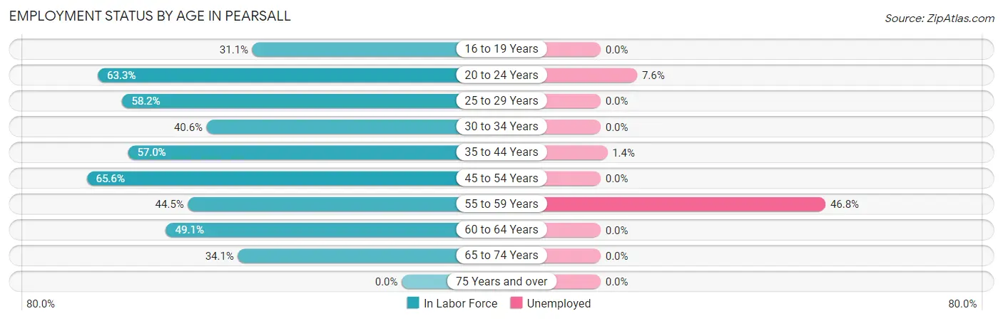 Employment Status by Age in Pearsall