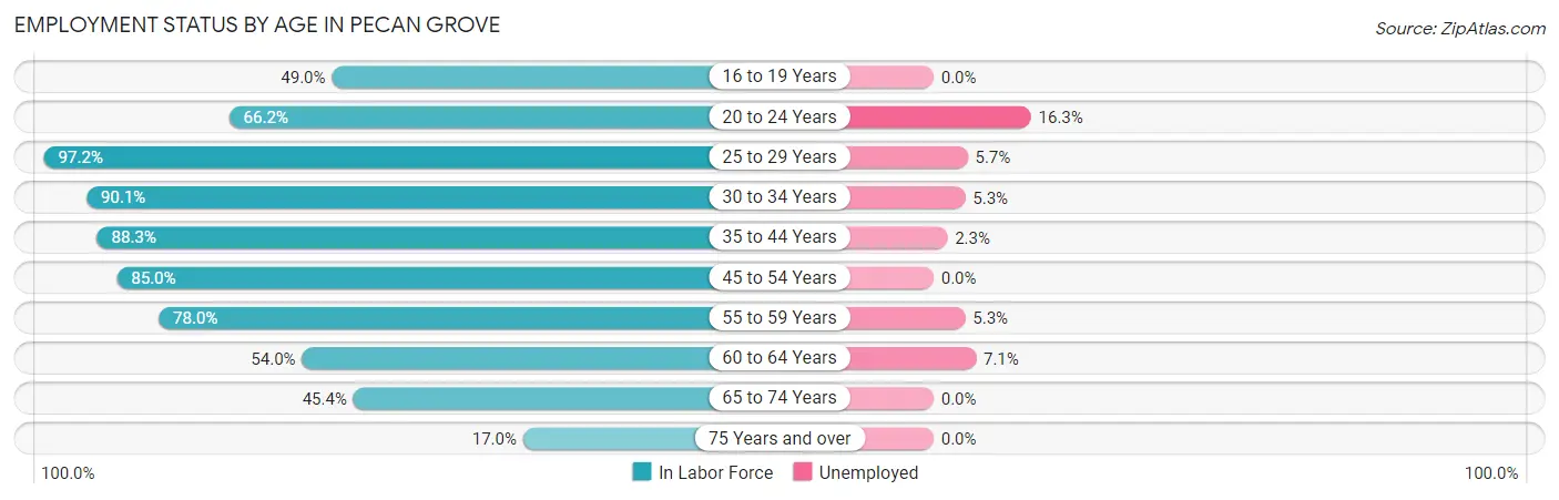 Employment Status by Age in Pecan Grove