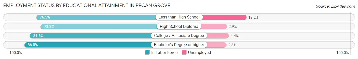 Employment Status by Educational Attainment in Pecan Grove