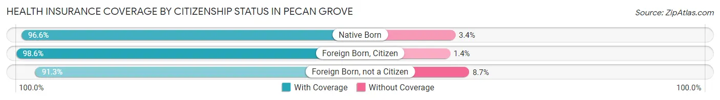 Health Insurance Coverage by Citizenship Status in Pecan Grove