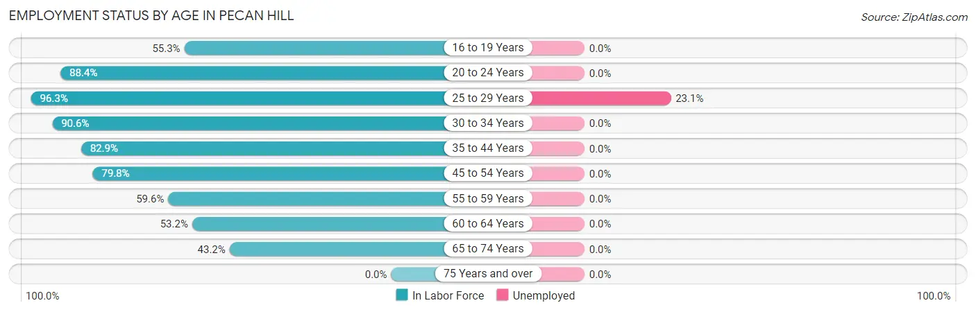 Employment Status by Age in Pecan Hill