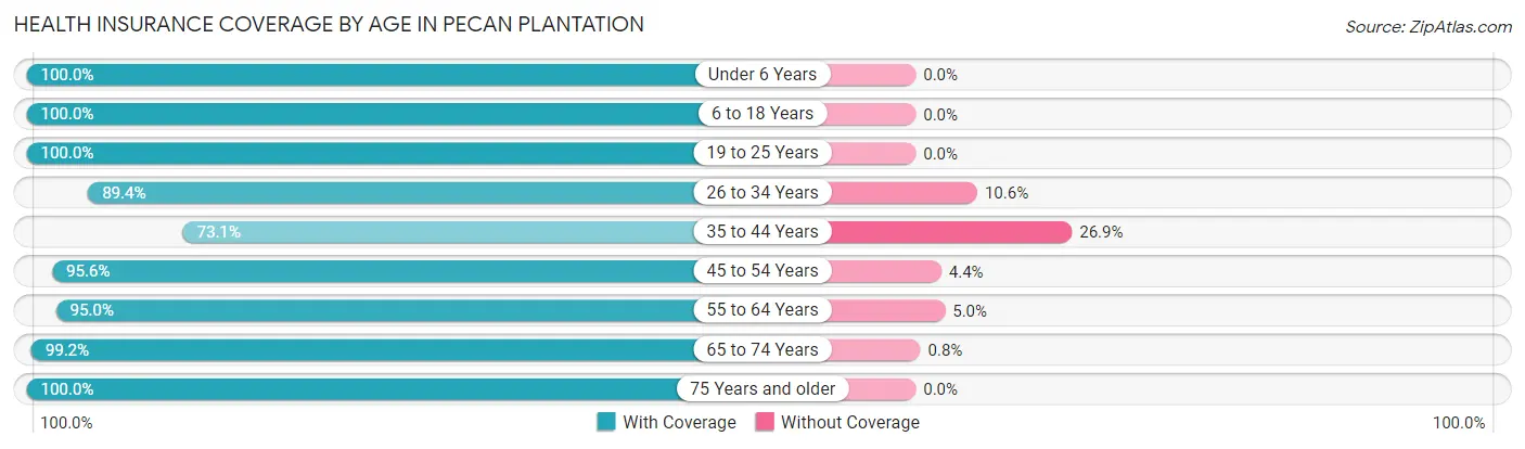 Health Insurance Coverage by Age in Pecan Plantation