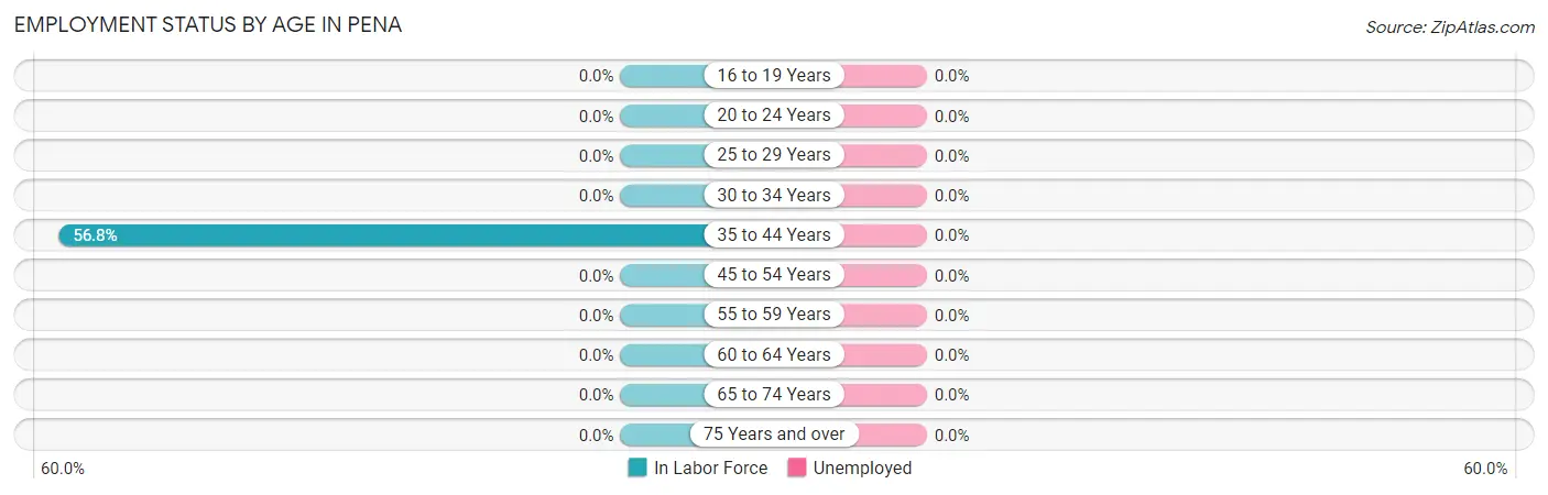 Employment Status by Age in Pena