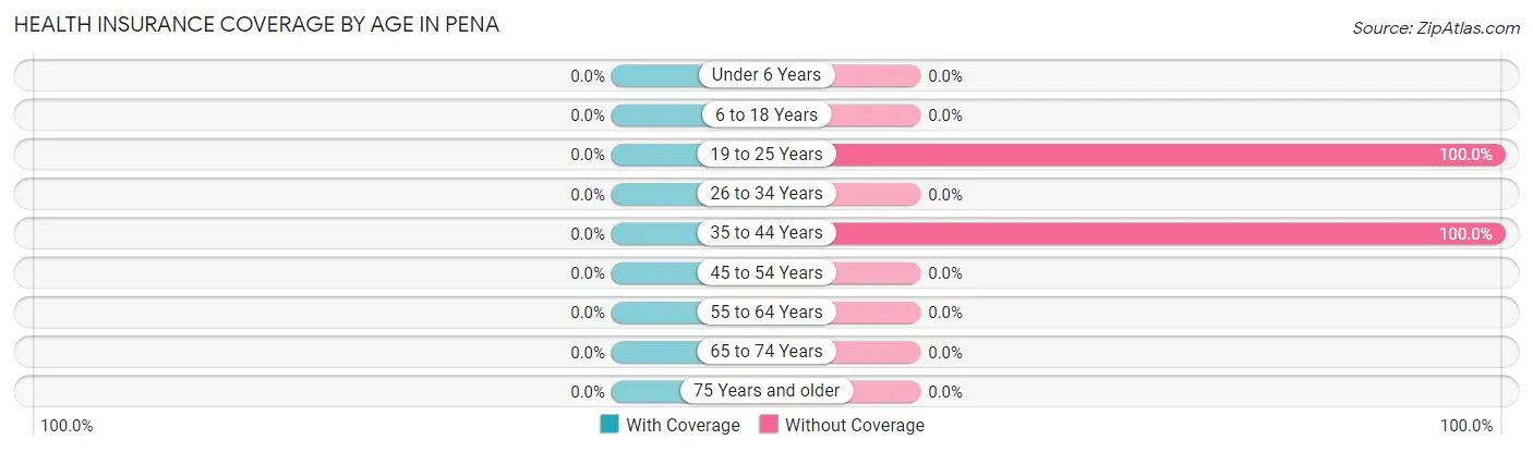 Health Insurance Coverage by Age in Pena