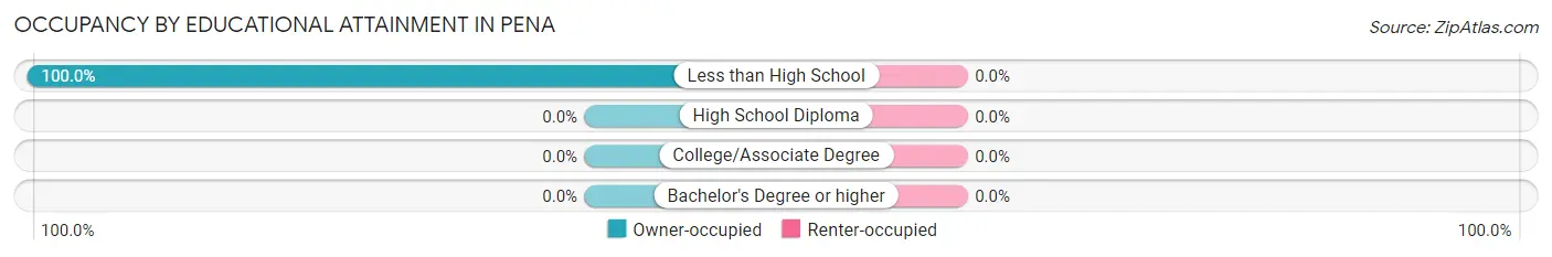 Occupancy by Educational Attainment in Pena