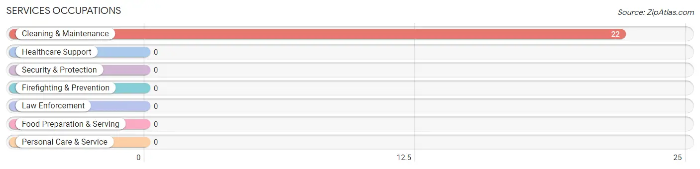 Services Occupations in Perrin