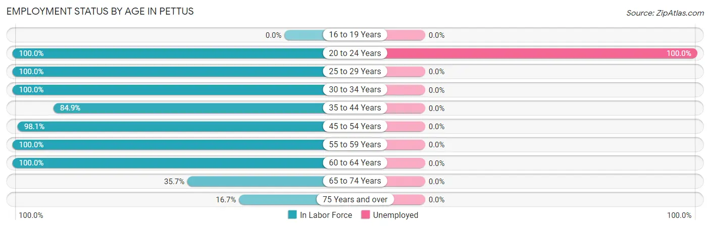 Employment Status by Age in Pettus