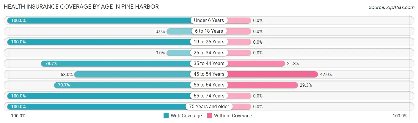 Health Insurance Coverage by Age in Pine Harbor