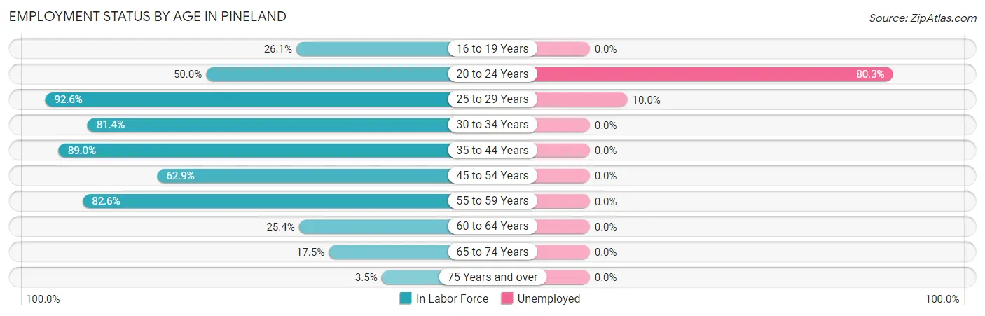 Employment Status by Age in Pineland