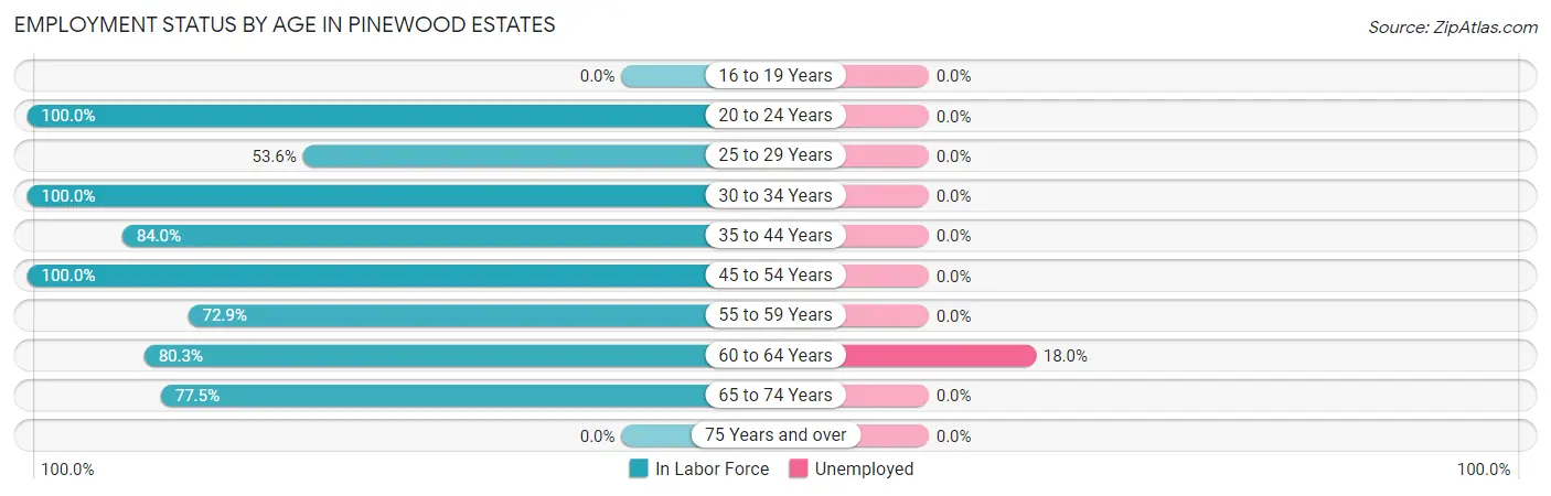 Employment Status by Age in Pinewood Estates