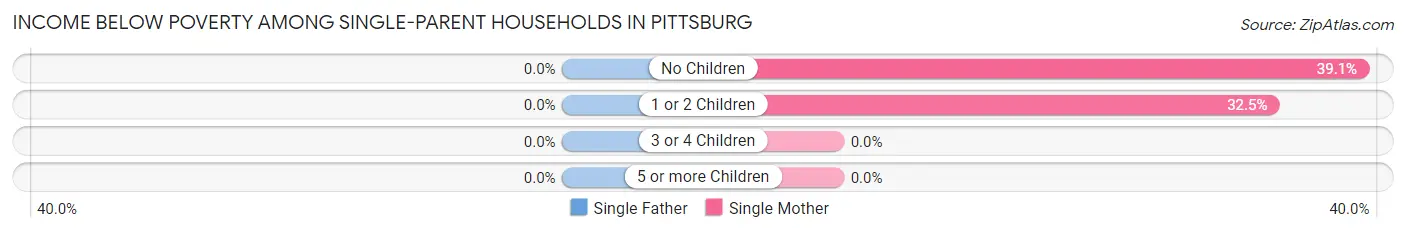 Income Below Poverty Among Single-Parent Households in Pittsburg