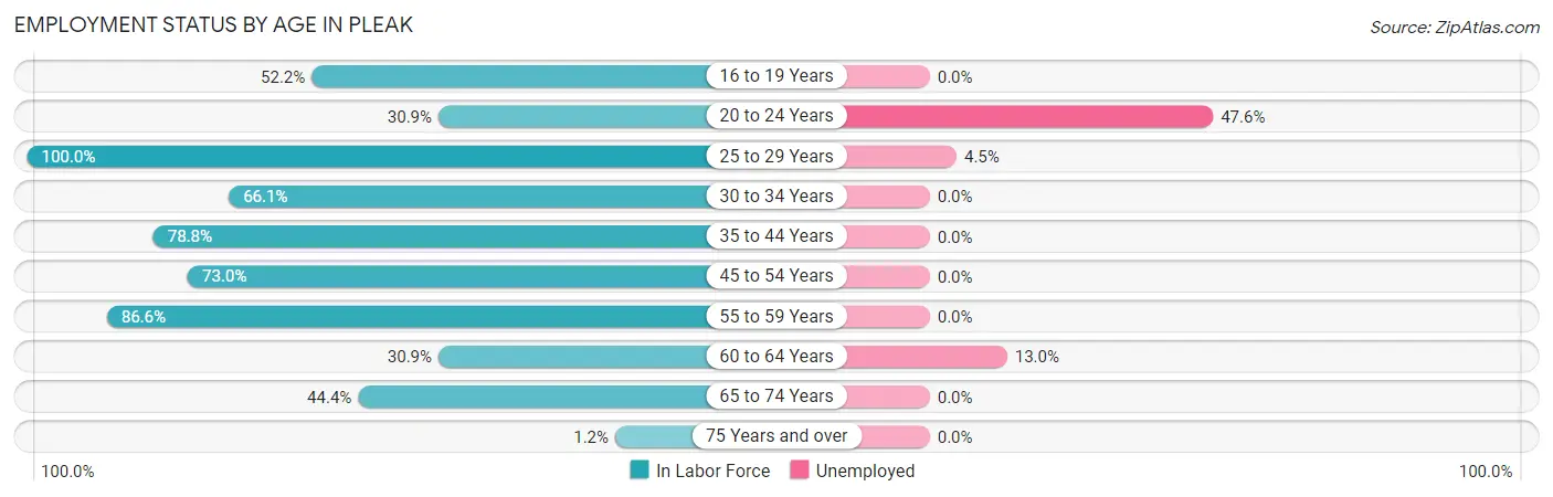 Employment Status by Age in Pleak