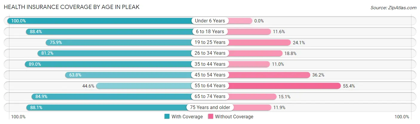 Health Insurance Coverage by Age in Pleak