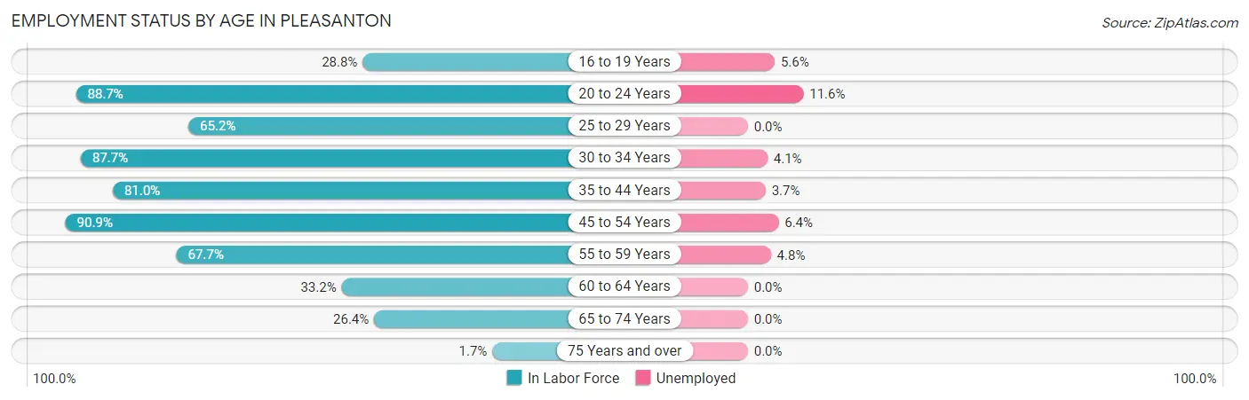 Employment Status by Age in Pleasanton
