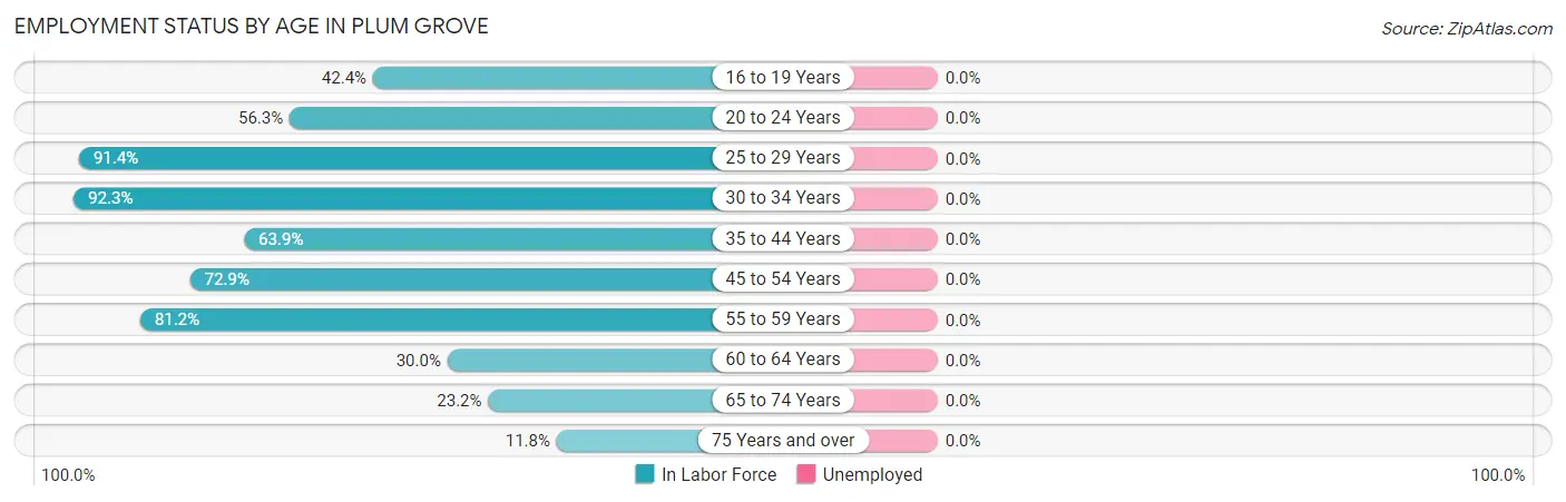 Employment Status by Age in Plum Grove