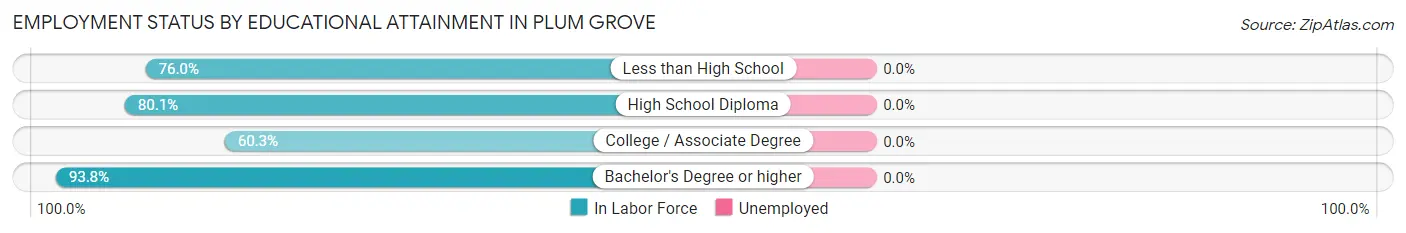 Employment Status by Educational Attainment in Plum Grove