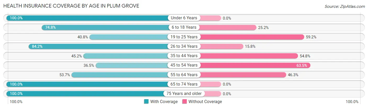 Health Insurance Coverage by Age in Plum Grove