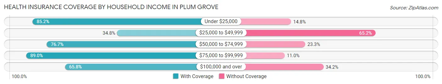 Health Insurance Coverage by Household Income in Plum Grove