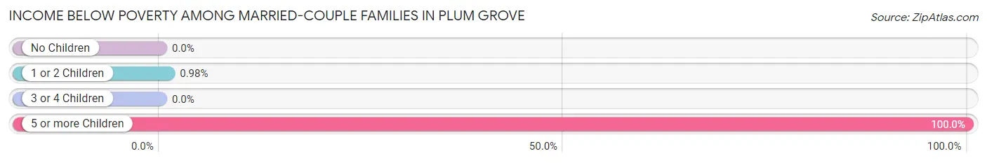 Income Below Poverty Among Married-Couple Families in Plum Grove