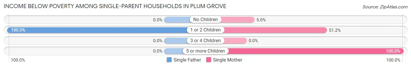 Income Below Poverty Among Single-Parent Households in Plum Grove