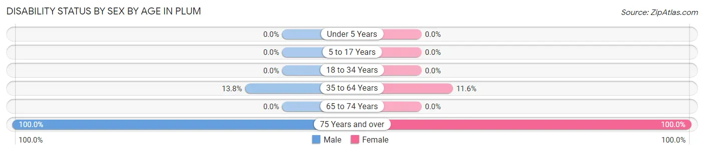 Disability Status by Sex by Age in Plum