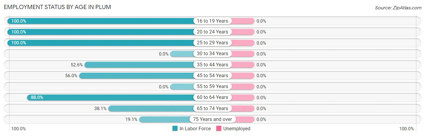 Employment Status by Age in Plum