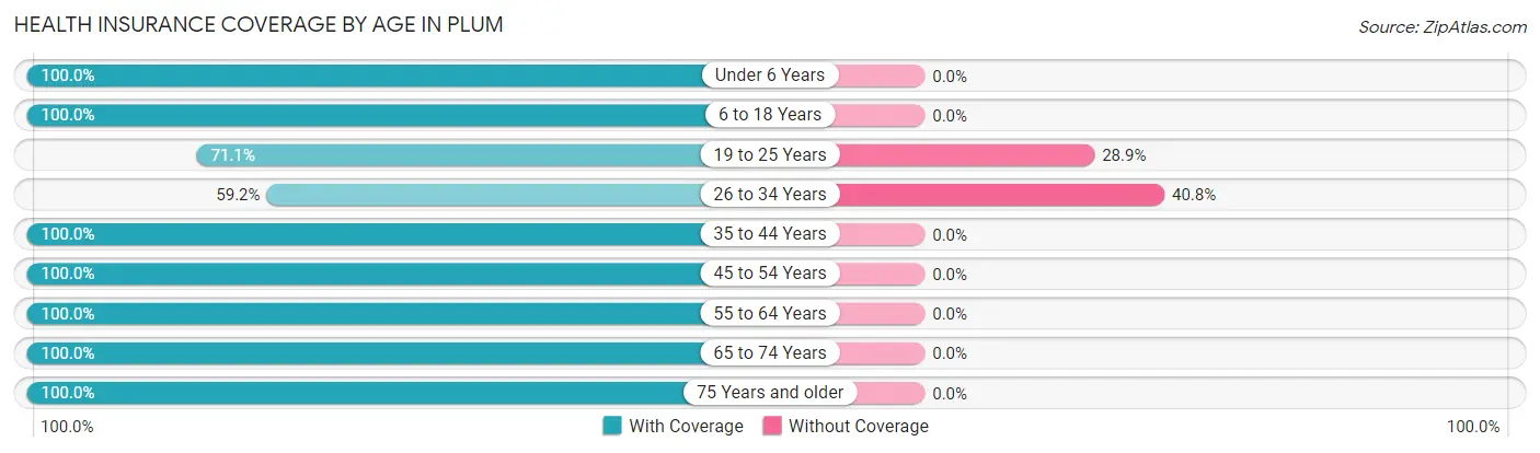 Health Insurance Coverage by Age in Plum