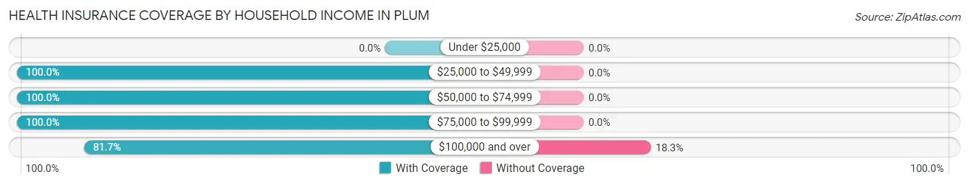 Health Insurance Coverage by Household Income in Plum