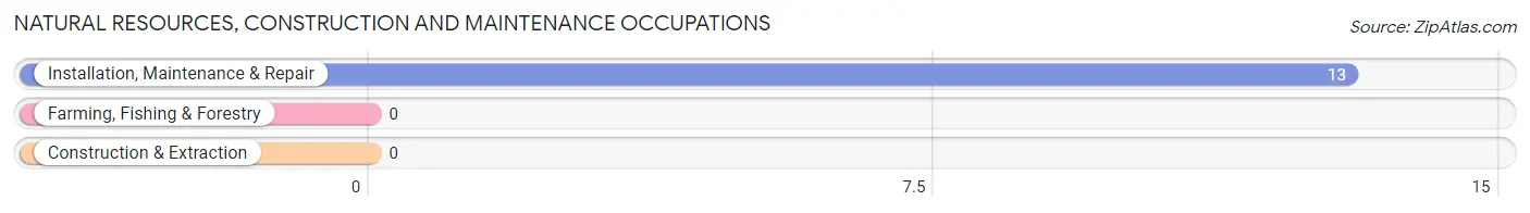 Natural Resources, Construction and Maintenance Occupations in Poetry