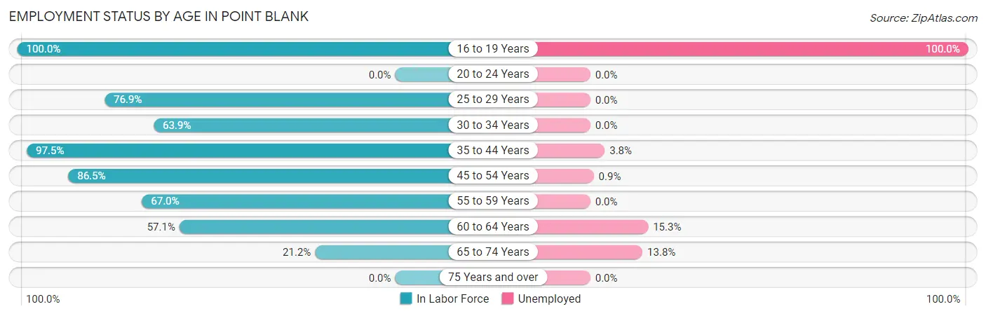 Employment Status by Age in Point Blank