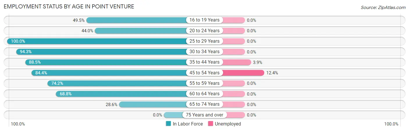 Employment Status by Age in Point Venture