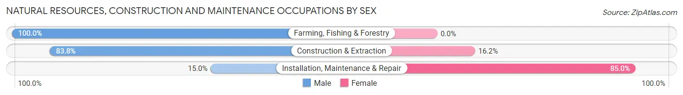 Natural Resources, Construction and Maintenance Occupations by Sex in Port Aransas
