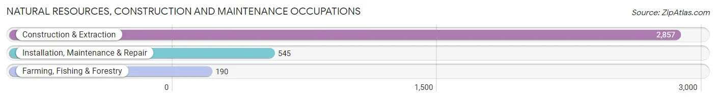 Natural Resources, Construction and Maintenance Occupations in Port Arthur